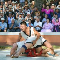 Ssireum wrestling competition in N. Korea