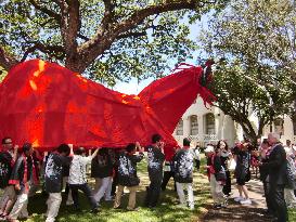 Honolulu, Uwajima celebrate 10th anniversary of sisterhood