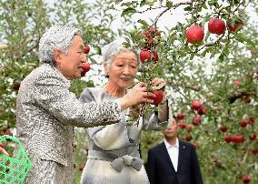 Emperor, empress visit apple orchard in Aomori Pref.