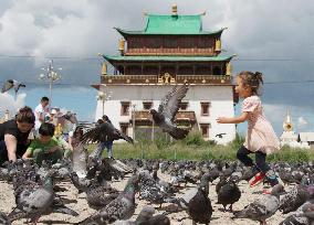 Kid chases after pigeons at Ulan Bator monastery