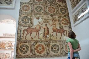 Tourist watches mosaic artwork at Tunis museum after March terror attack