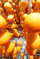 Production of dried persimmons at peak