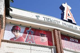 Baseball: Ohtani at Angeles spring training