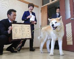Dog, owner save old woman in Japan's Akita