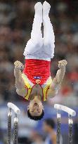 China's Yang Wei wins men's individual at world championships