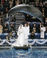 Wedding ceremony with dolphin show