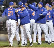 Mets beat Cubs in NLCS Game 2