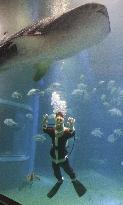 Diver in Santa Claus costume greets visitors at Osaka aquarium