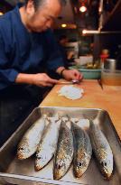 Humble sardines now more expensive than sea breams