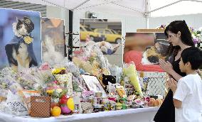 Funeral service for stationmaster cat Tama