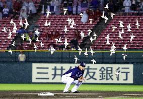 Baseball: Flock of birds interrupts play in Eagles-Lions game