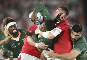 Rugby World Cup in Japan: Wales v South Africa