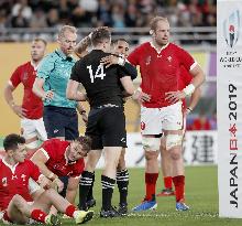 Rugby World Cup in Japan: New Zealand v Wales
