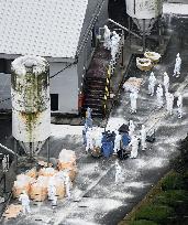 Bird flu virus detected at Kumamoto poultry farm