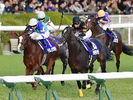 Cheval Grand wins Japan Cup