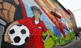 Football: Russia ahead of 2018 World Cup