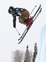 Freestyle skiing World Cup