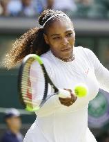 Tennis: Women's singles semifinals at Wimbledon