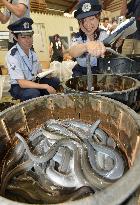 Eel imports to Japan hit peak season at Narita airport