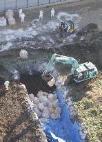 Bird flu outbreak in Japan