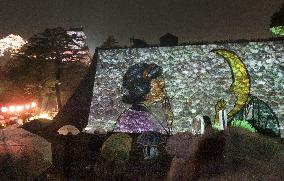 Pictures from folk tales projected on Kochi Castle stone walls