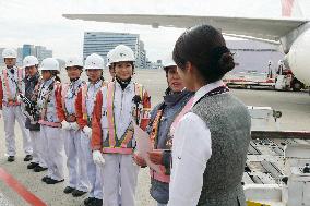 JAL flies special Hina Matsuri flight