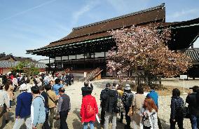 Kyoto Imperial Palace opens to public