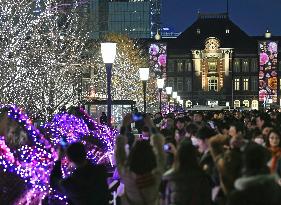 Tokyo illumination event