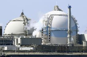 Steam leak detected at Japan nuclear plant