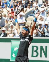 Tennis: Del Potro reaches French Open semifinals