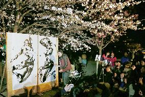 Painting under cherry blossoms