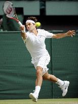 Federer defeated by Tsonga at Wimbledon q'finals