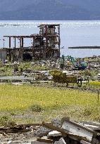 Rice harvest in tsunami-hit Iwate Pref.
