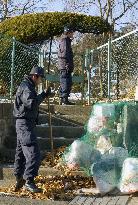 Man snatches newborn baby from Sendai hospital