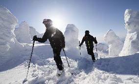 Couple enjoys 'Ice Monsters' at Zao ski area, north Japan