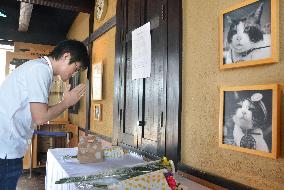 People mourn loss of cat stationmaster Tama in Wakayama Pref.