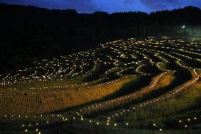 Rice terrace illumination event in Japan