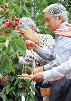 Emperor, empress pick cherries at farm in northwestern Japan