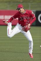 Baseball: Ohtani at Angels spring training