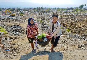 Indonesia quake-tsunami aftermath