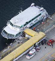 Jetfoil hits marine animal in Sea of Japan