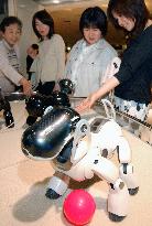 Sony unveils robot dog Aibo with Kansai accent
