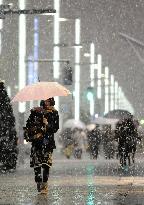 Snow falls in Tokyo