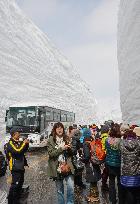 Taiwanese tourists visit Tateyama Kurobe Alpine Route