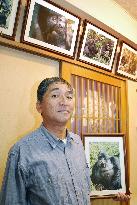 Japanese horse trainer loves mountain gorillas