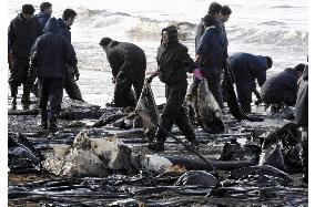S. Koreans remove spilled oil