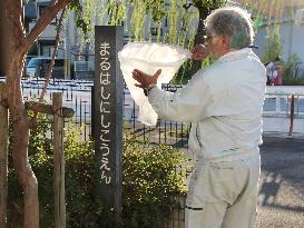 Mosquitoes tested for dengue fever in western Japan