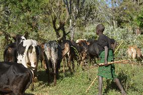 Archery taught as peacemaking tool in Kenyan village