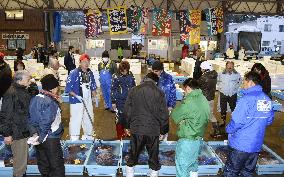 1st auction at temporary fish market in Miyagi