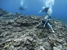 Divers check coral reefs off Okinawa's Henoko area